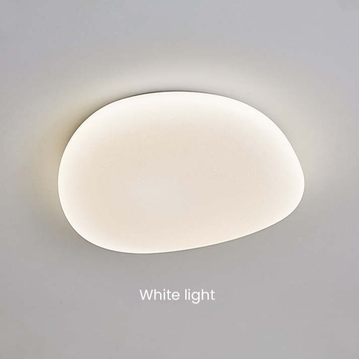 Flush Mount Ceiling Light