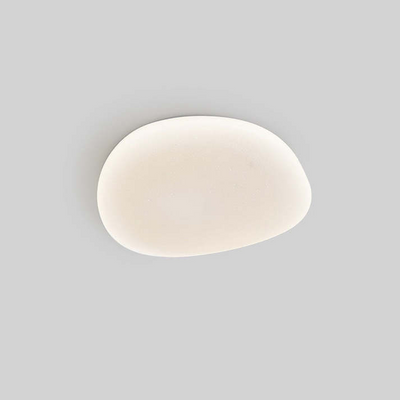 Flush Mount Ceiling Light