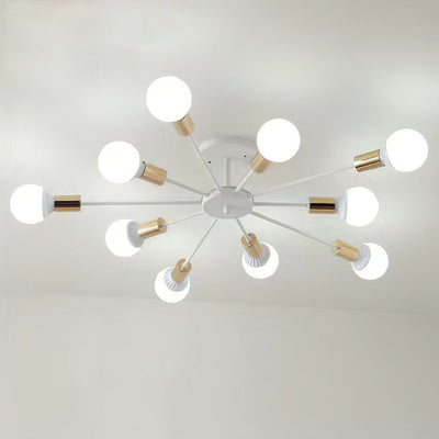 Black Simple Iron Multi-Head Chandelier