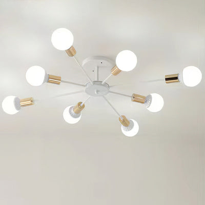 Black Simple Iron Multi-Head Chandelier