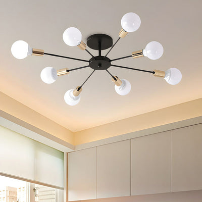 Black Simple Iron Multi-Head Chandelier