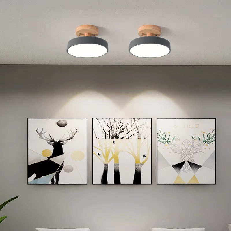 Simple Semi-flush LED Ceiling Light