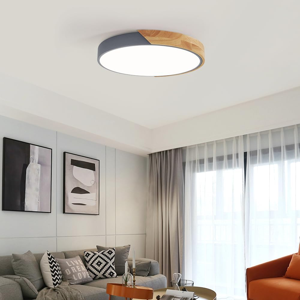 Colorful Round LED Ceiling Light