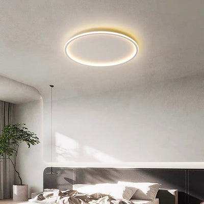 Nordic Style Disc LED Ceiling Lighting