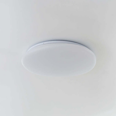 Flush Mount Ceiling Light
