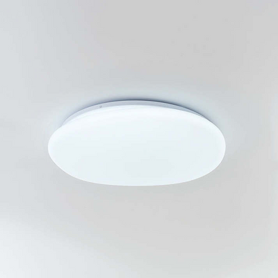 Flush Mount Ceiling Light