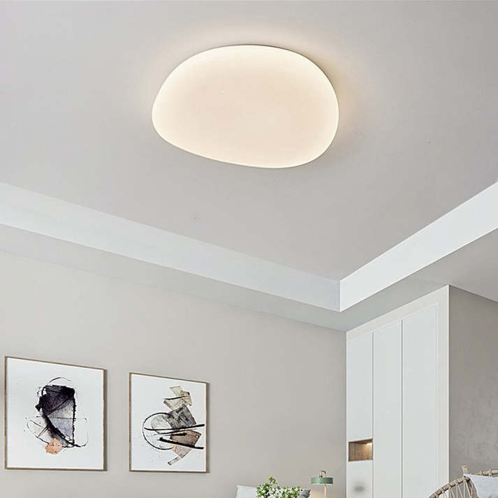 Flush Mount Ceiling Light