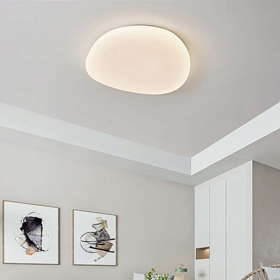 Flush Mount Ceiling Light