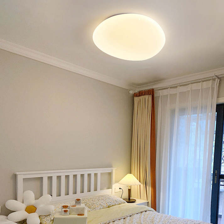 Flush Mount Ceiling Light