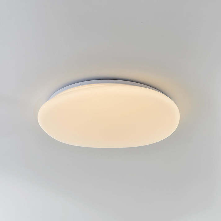 Flush Mount Ceiling Light