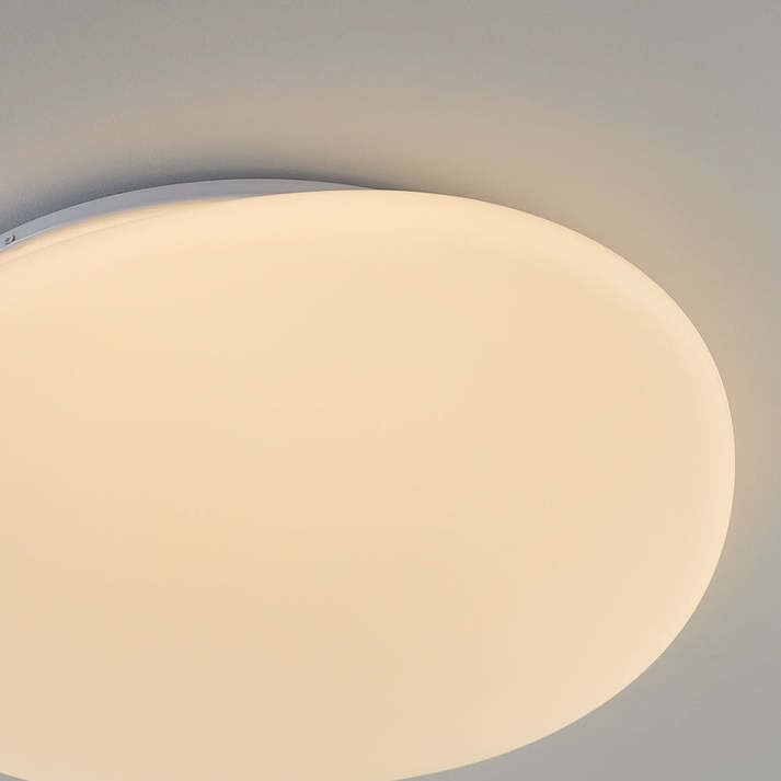Flush Mount Ceiling Light