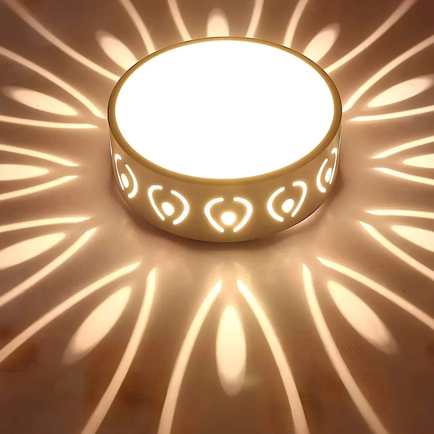 Elegant Ceiling Light – Warm or Cool White