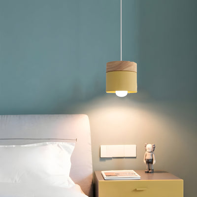 Loft Style Macaron Pendant Light